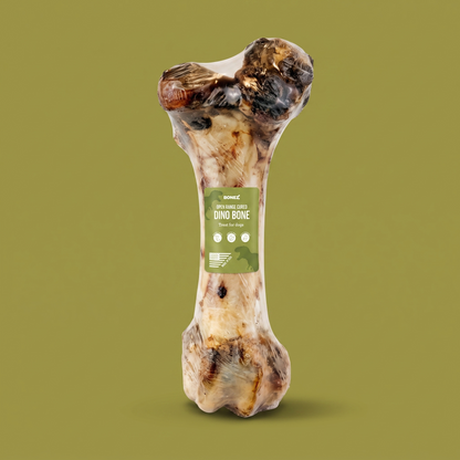 Dino Bone
