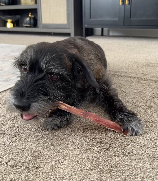 Bonez Treats Instagram post 2