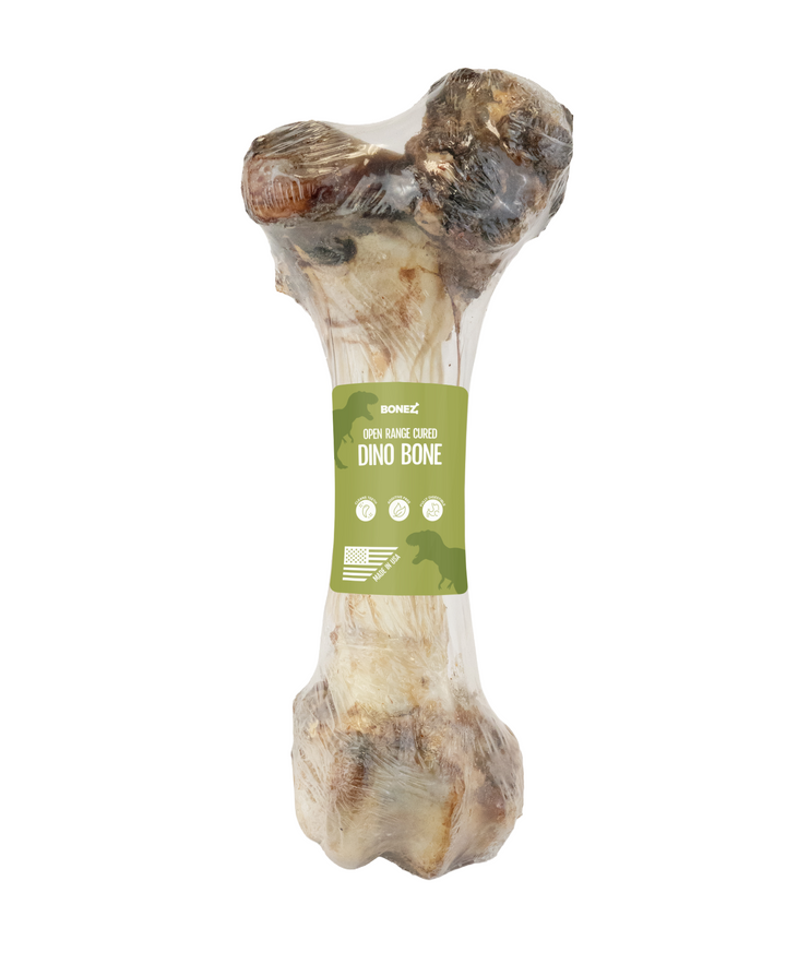 Dino Bone