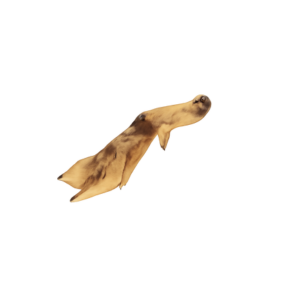Bonez 14-Chew Sample Pack