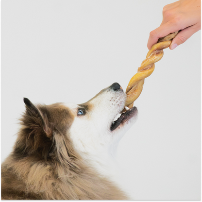 Twisted Bully Stick