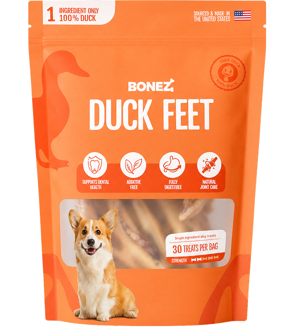Duck Feet