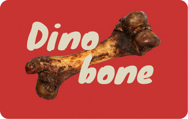 DINO BONE