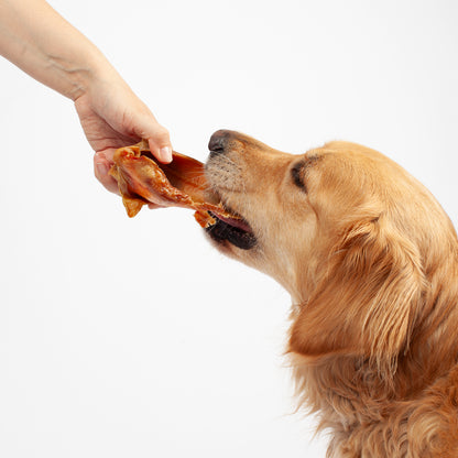 Pig Ear Dog Treat