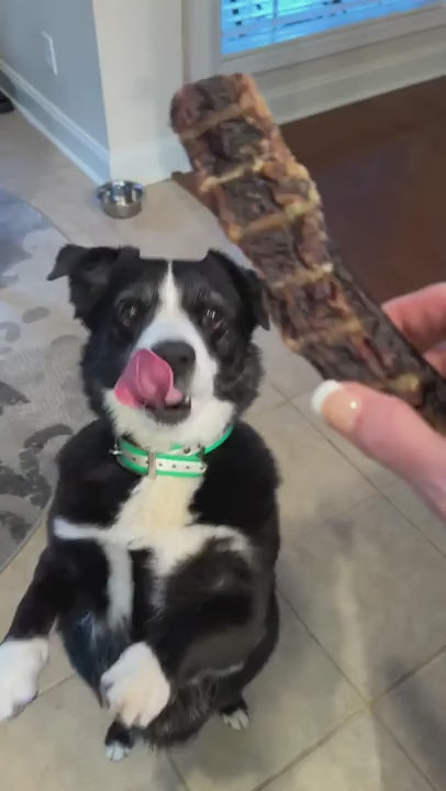 Video review thumbnail