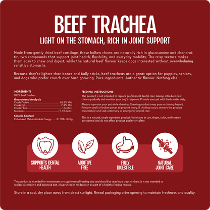 Beef Trachea