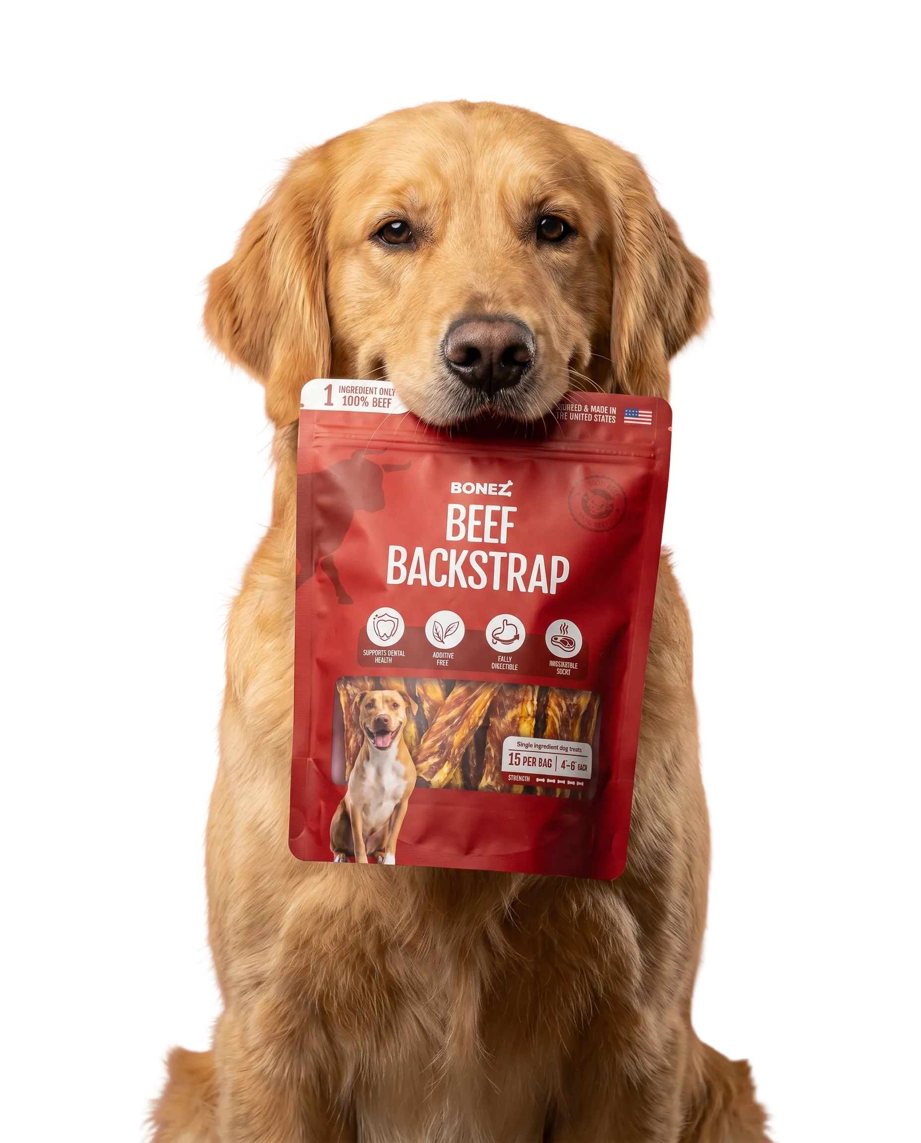 Golden retriever with Bonez Beef Backstrap treats