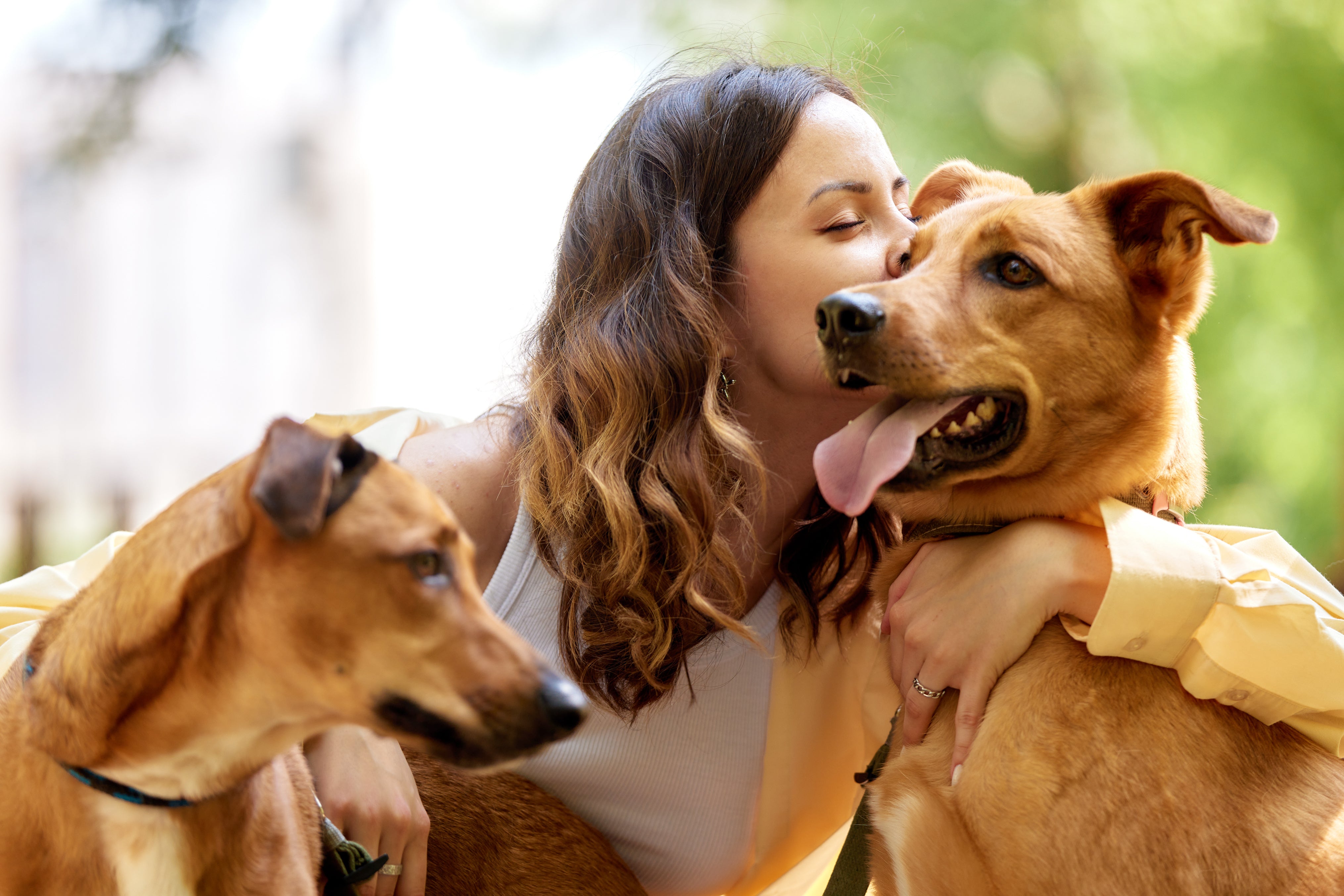 A happy dog and its owner
